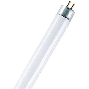Osram basic L 8 W/640 Tube Fluorescent - Blanc (cool white)…