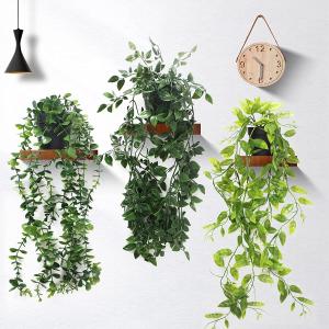 INSANYJ Plante Artificielle Tombante, 3 Pcs Vert Plantes Ar…