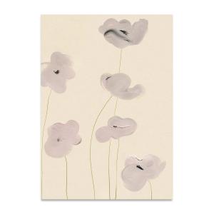 Paper Collective - White Vallmo Poster, 50 x 70 cm