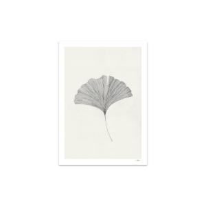 The Poster Club - Ginkgo Leaf d'Ana Frois, 30 x 40 cm