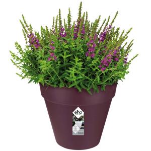 Pot de fleurs Mûre violet mat 25x22cm 5,5L