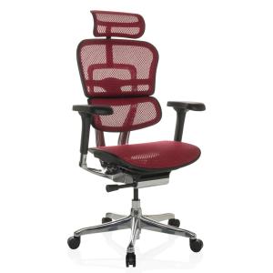 ERGOHUMAN GEN2 | tissu maille - Siège de direction de luxe…