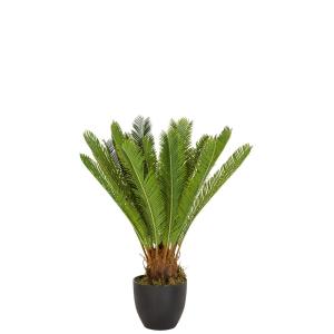 CYCAS - Plante artificielle Vert