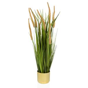 CORTADERIA I - Plante artificielle Beige/Vert