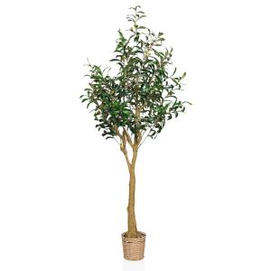 OLIVE II - Plante artificielle vert / noir