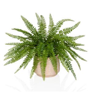 Proliferum - Plante artificielle Vert