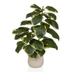 Ficus 3 - Plante artificielle vert - blanc