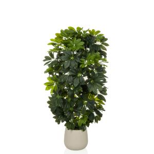 Schefflera 2 - Plante artificielle Vert/Blanc