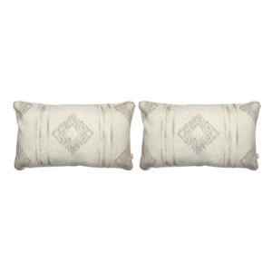 2 Housses de coussin 30X50 cm lin