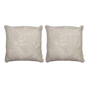 2 Housses de coussin 50X50 cm lin