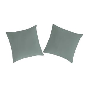 2 taies d'oreiller 65x65 thé