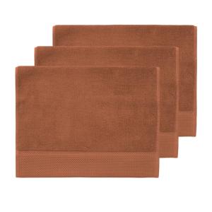 3 grandes serviettes invité 560 g/m² Auburn 40x60 cm