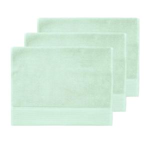 3 grandes serviettes invité 560 g/m² Menthe 40x60 cm