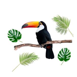 Adhésif décoratif mural toucan 77,3x65,6cm