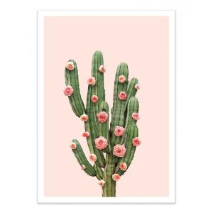 Affiche 30x40 cm - Cactus and Roses - Paul Fuentes