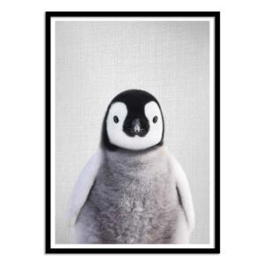 Affiche 30x40 cm et cadre noir - Baby penguin - Gal Design