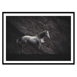 Affiche 30x40 cm et cadre noir - Solitaire Horse - Heike Wi…