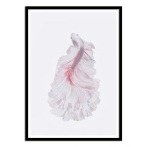 Affiche 30x40 cm et cadre noir - The white dress - 1x