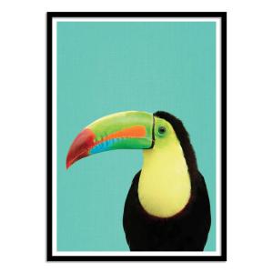 Affiche 30x40 cm et cadre noir - Toucan bird in blue - Gal…
