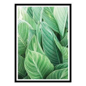 Affiche 30x40 cm et cadre noir - Tropical leaves - Gal Desi…