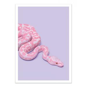 Affiche 30x40 cm - Pink Snake - Paul Fuentes