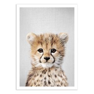 Affiche 50x70 cm - Baby cheetah - Gal Design