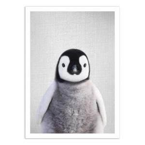 Affiche 50x70 cm - Baby penguin - Gal Design