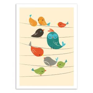 Affiche 50x70 cm - Colorfull birds - Jay Fleck