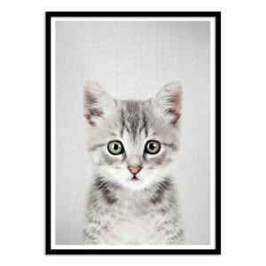 Affiche 50x70 cm et cadre noir - Kitten - Gal Design