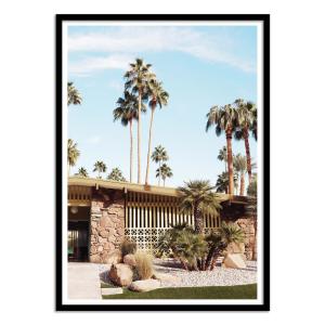 Affiche 50x70 cm et cadre noir - Summer days at palm Spring…