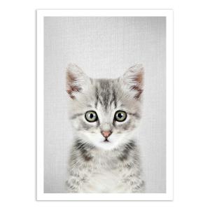 Affiche 50x70 cm - Kitten - Gal Design