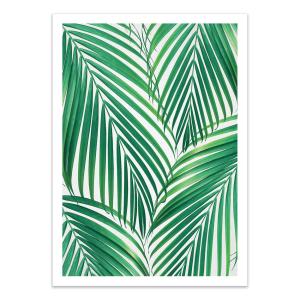 Affiche 50x70 cm - Palm leaves - Gal Design