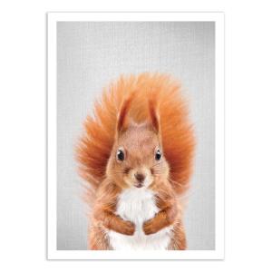 Affiche 50x70 cm - Squirrel - Gal Design