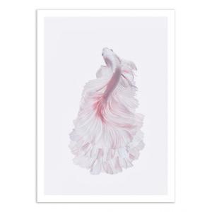 Affiche 50x70 cm - The white dress - 1x