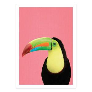 Affiche 50x70 cm - Toucan bird in pink - Gal Design