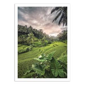 Affiche 50x70 cm - Ubud Bali Indonesia - Manjik Pictures