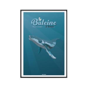 Affiche Animaux - La Baleine à bosse 40 x 60 cm