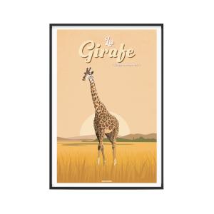 Affiche Animaux - La Girafe 40 x 60 cm