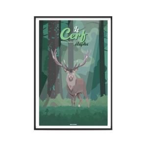 Affiche Animaux - Le Cerf élaphe 30 x 40 cm