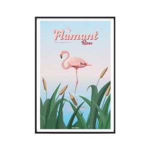 Affiche Animaux - Le Flamant rose 30 x 40 cm