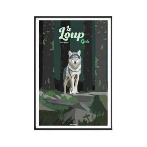 Affiche Animaux - Le Loup gris 30 x 40 cm