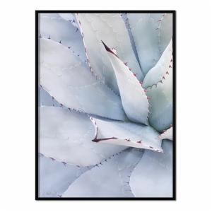 Affiche avec cadre noir - Aloe Vera bleu - 30x40