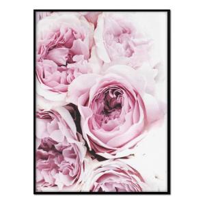 Affiche avec cadre noir - Bouquets de Roses - 30x40