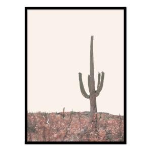 Affiche avec cadre noir - Cactus dans le désert de l'Arizon…