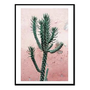 Affiche avec cadre noir - Cactus Fond Rose - 30x40