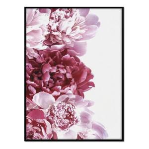 Affiche avec cadre noir - Dahlias roses - 30x40
