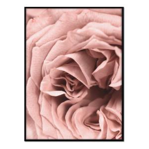 Affiche avec cadre noir - Détail rose - 30x40