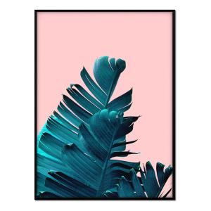 Affiche avec cadre noir - Feuille de palmier sur fond rose…