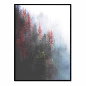Affiche avec cadre noir - Forêt brumeuse - 50x70
