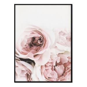 Affiche avec cadre noir - Four Roses - 30x40